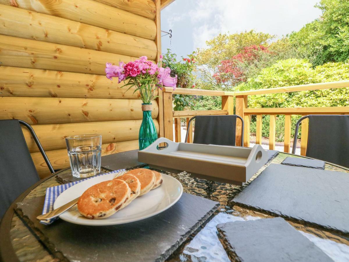Willow Lodge Tenby Zewnętrze zdjęcie